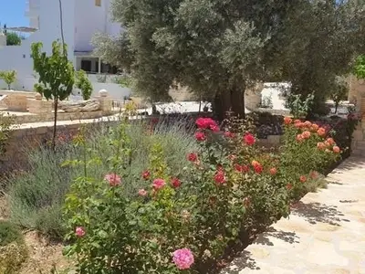 Ferienhaus für 4 Personen (70 m²) in Pitsidia 9/10