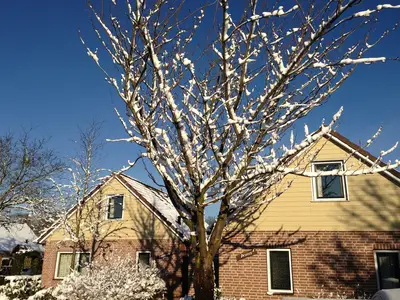 ExteriorWinter