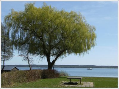 Ferienhaus für 6 Personen (93 m²) in Plau am See 2/10