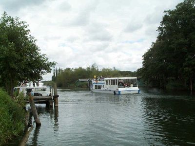 Ferienhaus für 3 Personen (55 m²) in Plau am See 8/10