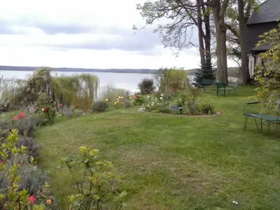 Garten. Der Garten zur Seeseite steht Ihnen zur Nutzung zur Verfügung.