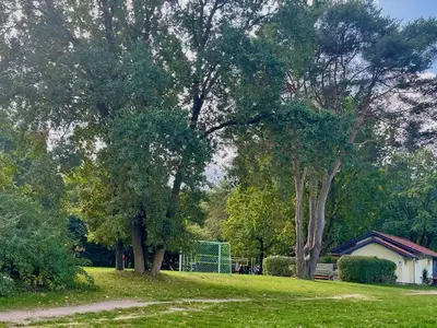 Ferienhaus für 3 Personen (35 m²) in Plau am See 7/10