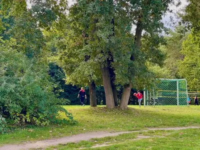 Ferienhaus für 3 Personen (35 m²) in Plau am See 9/10