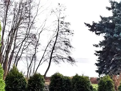 Ferienhaus für 4 Personen (40 m²) in Plau am See 3/10