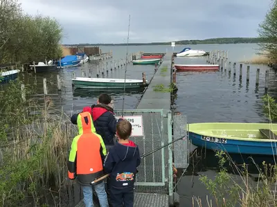 Ferienhaus für 4 Personen (55 m²) in Plau am See 7/10