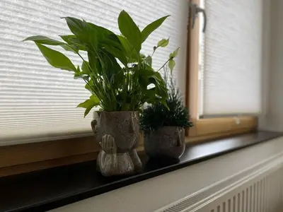 Ferienhaus für 6 Personen (108 m²) in Plauen 2/10