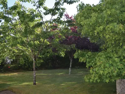 outside