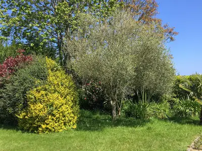 outside