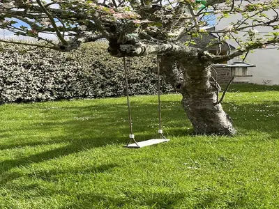ExteriorSummer