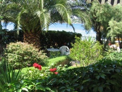 Garten vor dem Haus