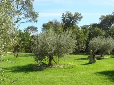 GardenSummer