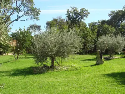 GardenSummer