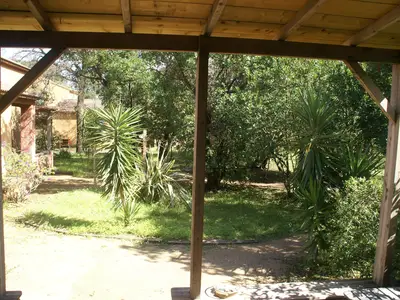 ViewSummer