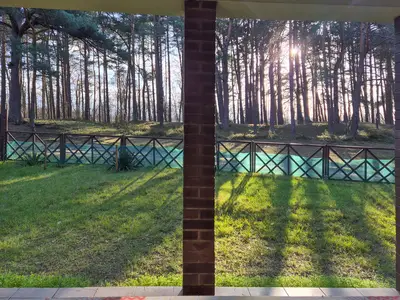 view-from-room