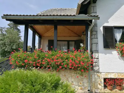 Ferienhaus für 6 Personen (70 m²) in Poljanak 4/10