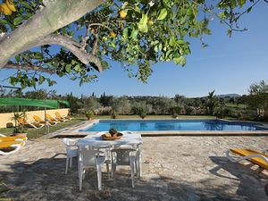 großer Pool mit Poolterrasse und Sonnenliegen