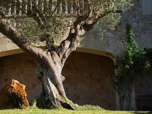 19074146-Ferienhaus-8-Pollença-300x225-5