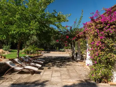 Ferienhaus für 13 Personen (360 m²) in Pollença 10/10