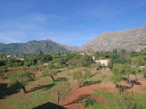 18025746-Ferienhaus-6-Pollença-300x225-1