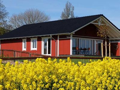 Ferienhaus für 4 Personen (95 m²) in Pommerby (Geltinger Bucht) 4/10