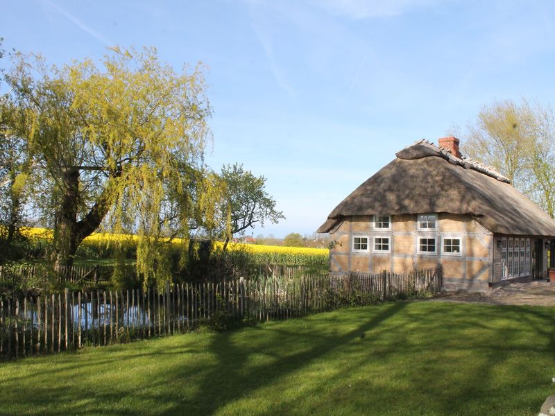 24049057-Ferienhaus-4-Pommerby (Geltinger Bucht)-800x600-2