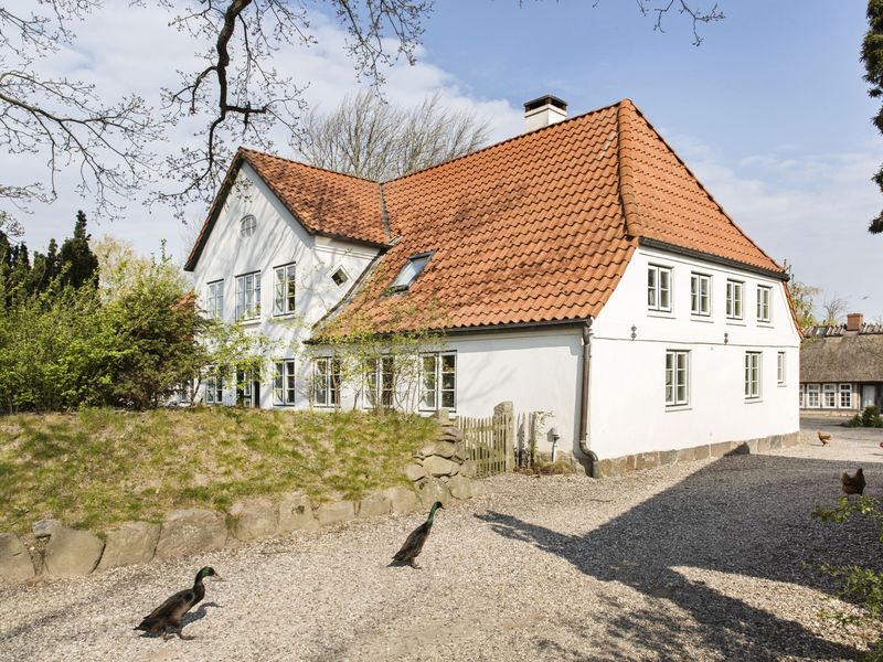 24049063-Ferienhaus-9-Pommerby (Geltinger Bucht)-800x600-1