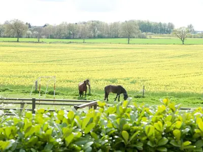 Ferienhaus für 6 Personen (95 m²) in Pommerby (Geltinger Bucht) 2/10