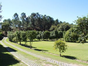 19355664-Ferienhaus-4-Ponte de Lima-300x225-4