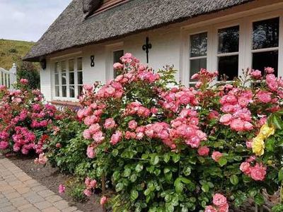 Ferienhaus für 5 Personen (160 m²) in Poppenbüll 4/10