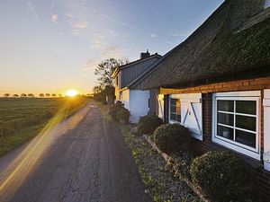 Blaue Reihe bei Sonnenaufgang