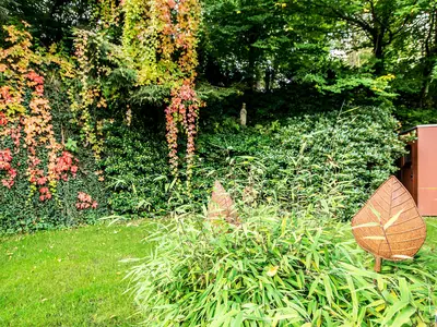 DSC09895_1
