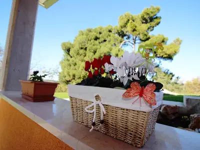 Ferienhaus für 8 Personen (115 m²) in Poreč 9/10