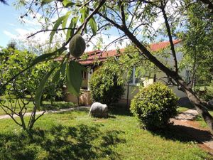 Ferienhaus für 4 Personen (58 m²) in Poreč