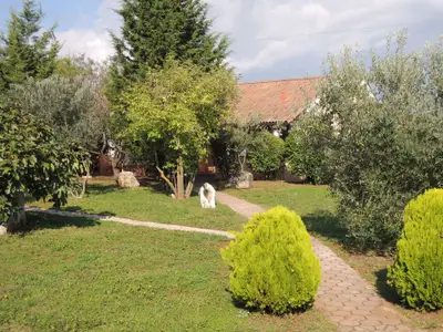 Ferienhaus für 5 Personen (62 m²) in Poreč 3/10