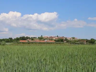 Ferienhaus für 6 Personen (130 m²) in Dračevac 6/10