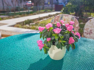 Ferienhaus für 6 Personen (100 m²) in Poreč 9/10