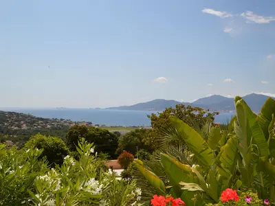 view-from-room