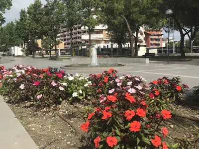 Ferienhaus für 6 Personen (70 m²) in Porto Santa Margherita 7/10