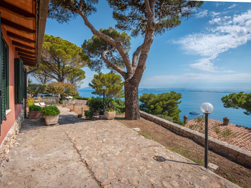 23859712-Ferienhaus-8-Porto Santo Stefano-800x600-1