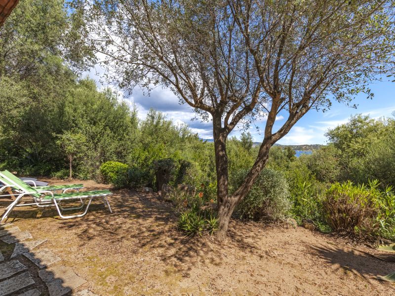 23855796-Ferienhaus-5-Porto Vecchio-800x600-1