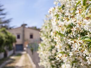 23890750-Ferienhaus-6-Portoferraio-300x225-5