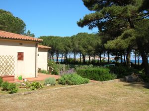 23891125-Ferienhaus-8-Portoferraio-300x225-0