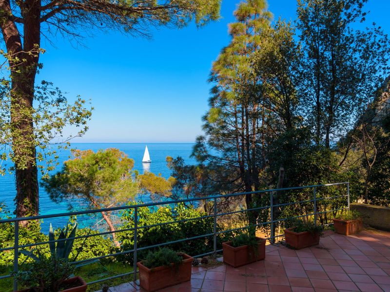 22311419-Ferienhaus-8-Portoferraio-800x600-0