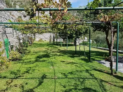 Garten mit einer Fläche von ca. 1000 m2 mit Obstbäumen