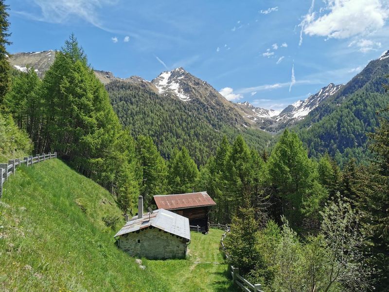 23075393-Ferienhaus-4-Poschiavo-800x600-1