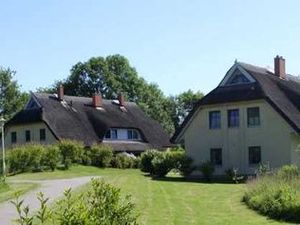 19135227-Ferienhaus-9-Poseritz-300x225-2