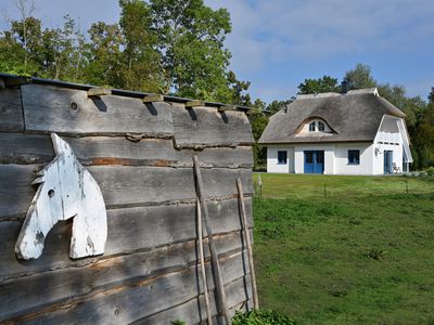 Ferienhaus für 6 Personen (152 m²) in Poseritz 3/10