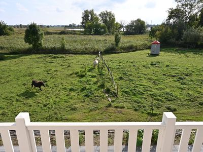 Ferienhaus für 6 Personen (152 m²) in Poseritz 4/10