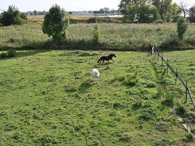 Ferienhaus für 6 Personen (152 m²) in Poseritz 7/10