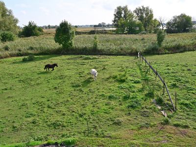 Ferienhaus für 6 Personen (152 m²) in Poseritz 8/10